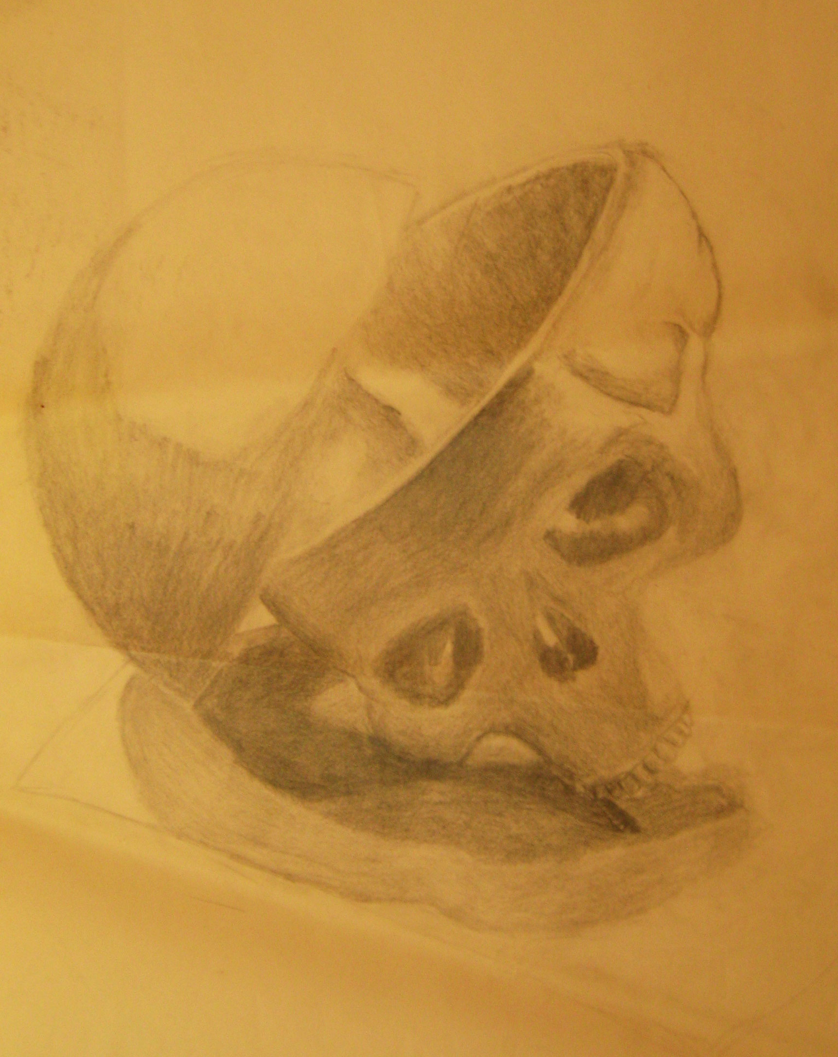 skull